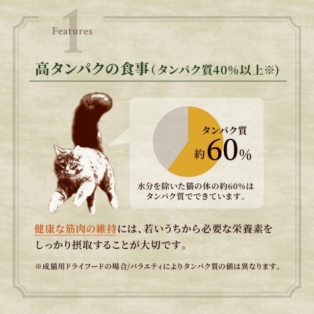 ニュートロ キャットフード ワイルドレシピ エイジングケア チキン シニア猫用 2kg 穀物フリー グレインフリー 無添加 ナチュラル猫用_2