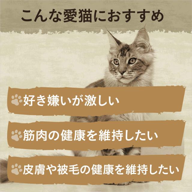 ニュートロ キャットフード ワイルドレシピ エイジングケア チキン シニア猫用 2kg 穀物フリー グレインフリー 無添加 ナチュラル猫用_5