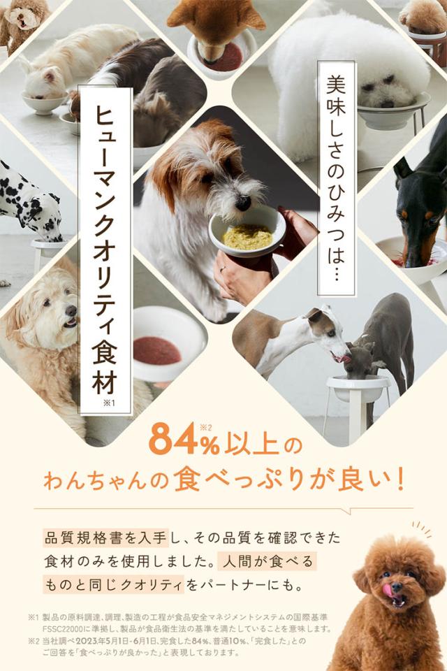 ワンスープ WanSoup 国産 ROSIE ホースレシピ ミニパック フリーズドライ スープ 24g×10個_6
