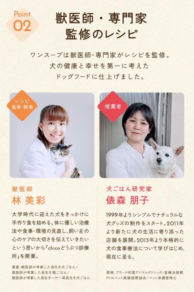 ワンスープ WanSoup 国産 ROSIE ホースレシピ ミニパック フリーズドライ スープ 24g×10個_9