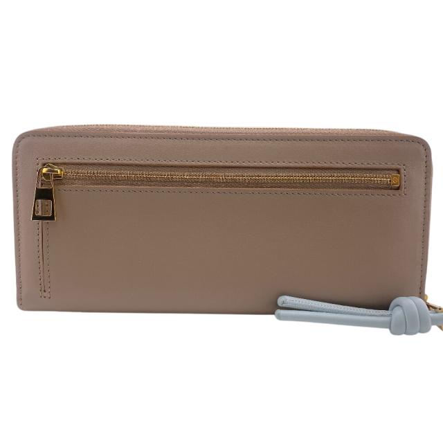 LOEWE ロエベ シャイニーナカパーフ ジップアラウンド ノット