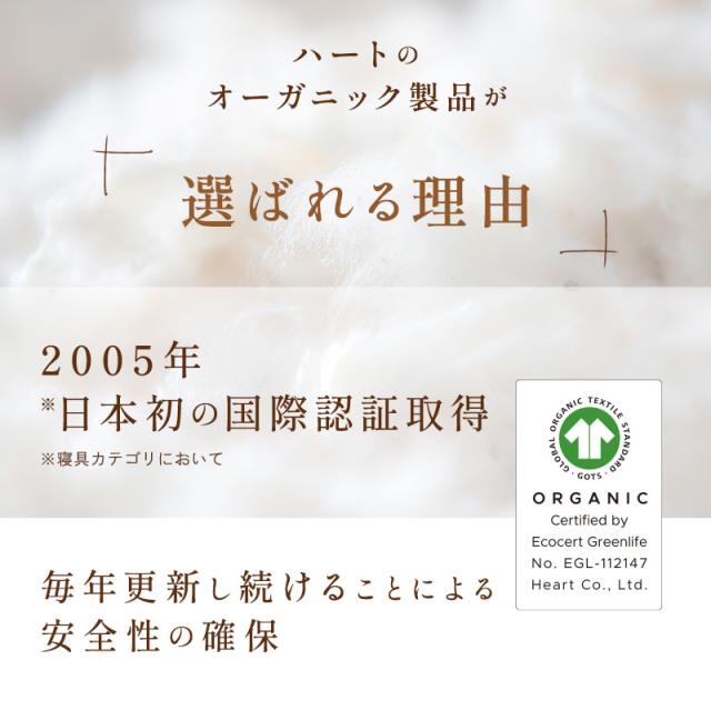 【日本製】オーガニック肌ふとん シングル【GOTS認証】オーガニックコットン100％ 天然素材_2
