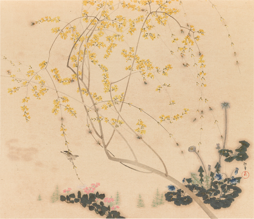 花鳥 抱一筆 1月を彩る酒井抱一筆「十二か月花鳥図」の椿 - 山椿舎