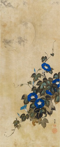 尾形光琳筆　朝顔圖の通販は
