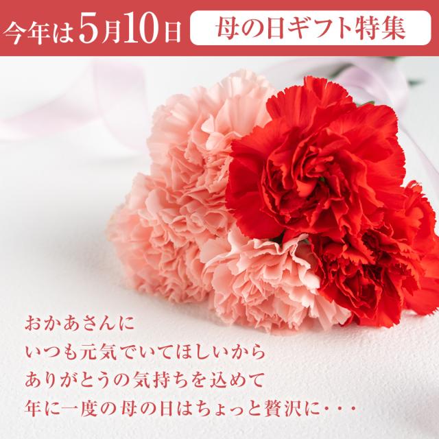 牛タン 牛たん タン中 ブロック 煮込み用 約2kg 約500g×4袋 御歳暮 仙台 焼き方 レシピ付き 牛肉 焼肉 熟成 極味 たん タン 芯たん 宮城県 BBQ キャンプ アウトドア お取り寄せ ダテヤ 特選 お歳暮_2