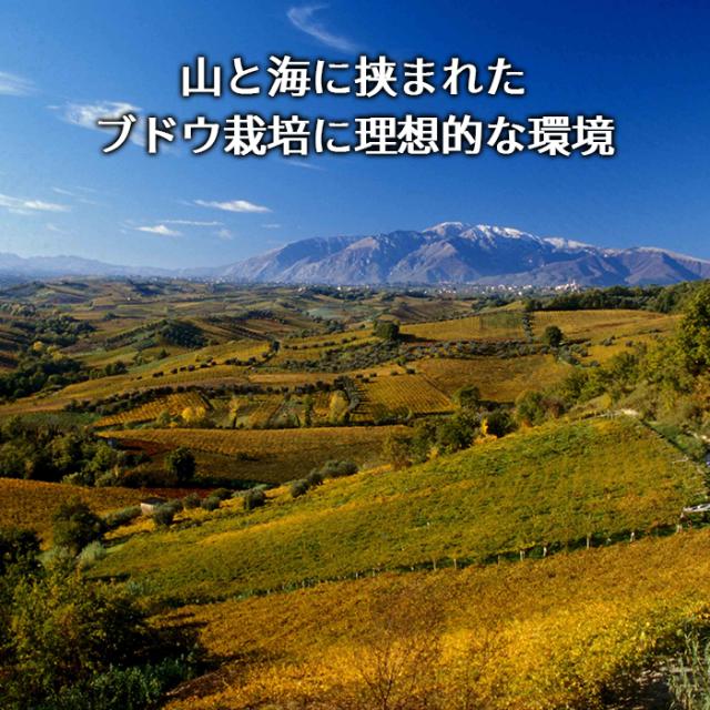 1本当り2, 送料無料 カサーレ ヴェッキオ モンテプルチアーノ ダブルッツォ 750ml ファルネーゼ イタリア 赤ワイン 長S