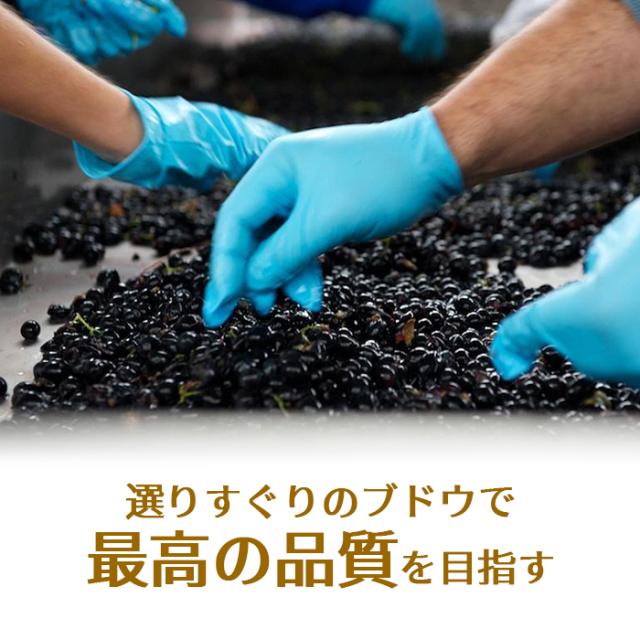 1本当り2, 送料無料 カサーレ ヴェッキオ モンテプルチアーノ ダブルッツォ 750ml ファルネーゼ イタリア 赤ワイン 長S