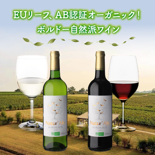1本あたり1,(税込) 送料無料 ナチュール エール ボルドー ブラン 12本 フランス ビオ 白 ケース 浜運