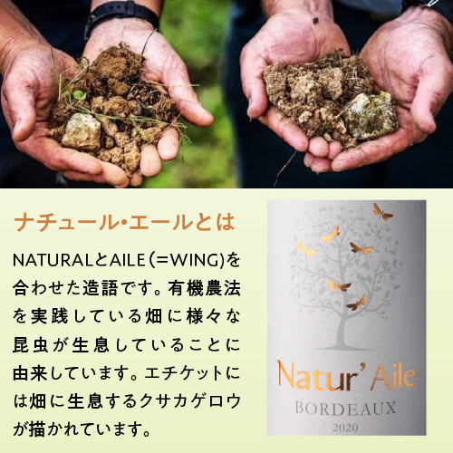 1本あたり1,(税込) 送料無料 ナチュール エール ボルドー ブラン 12本 フランス ビオ 白 ケース 浜運