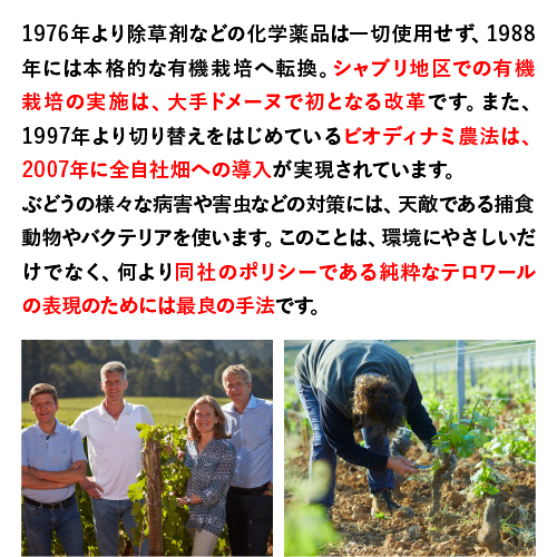 ボーヌ プルミエ クリュ グレーヴ [2018] メゾン ジョゼフ ドルーアン 750ml フランス ブルゴーニュ 赤 浜運