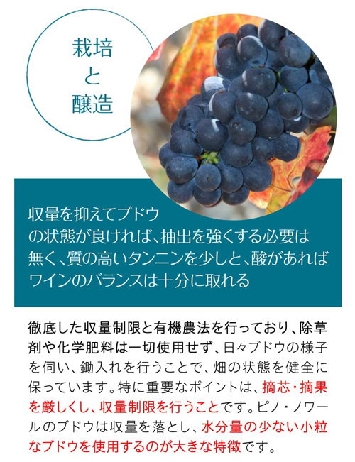 シャルム シャンベルタン グラン クリュ [2021] アンベール フレール 750ml フランス 赤ワイン 浜運_7