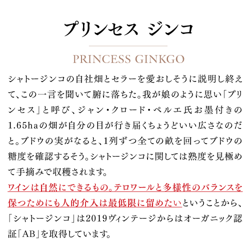 送料無料 シャトージンコ [2022] カスティヨン コート ド ボルドー 750ml 百合草梨紗 海外認証 赤 長S 虎_6
