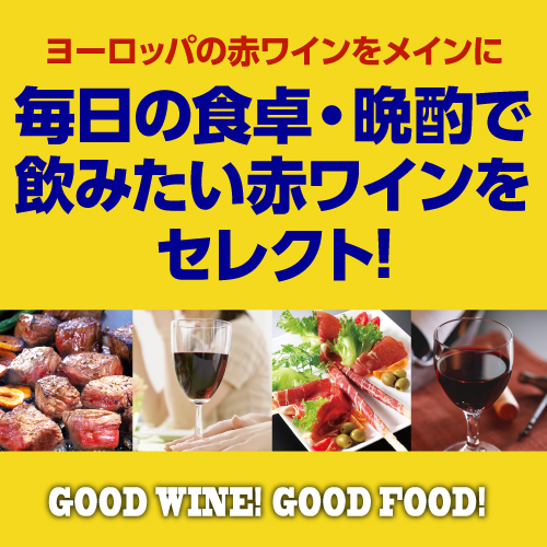 ワインセット 赤 12本セット フルボディ 辛口 送料無料 赤だけ 1本当り950円(税込) エブリデー赤ワイン12本セット 浜運Aの通販は