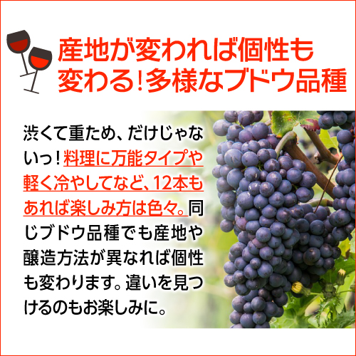 ワインセット 赤 12本セット フルボディ 辛口 送料無料 赤だけ 1本当り950円(税込) エブリデー赤ワイン12本セット 浜運Aの通販は