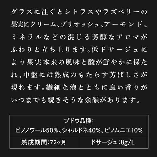 シャンパーニュ サバティーナ ブリュット 750ml インスタ映え 映え オシャレ シャンパン 辛口 高級シャンパン 浜運