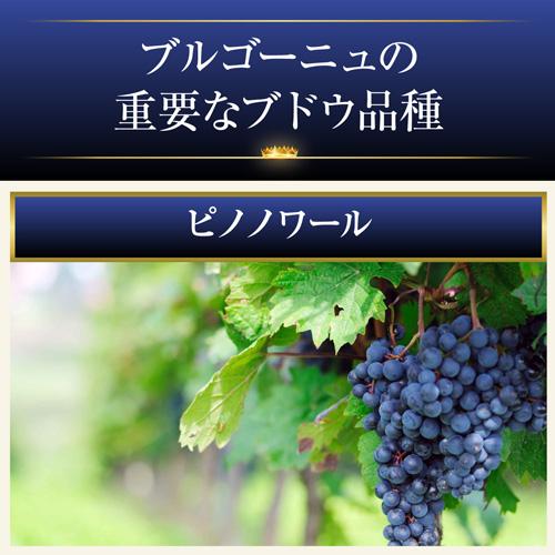 1本あたり3,(税込) 送料無料 渾身のブルゴーニュ赤4本セット 23弾 赤ワイン ピノノワール 飲み比べセット ワインセット 浜運