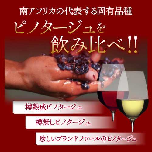 1本あたり3,300 円(税込) 送料無料 アルダリン6本 750ml 6本入 9弾 赤 白 ワインセット 浜運A 南アフリカ ステレンボッシュの通販は