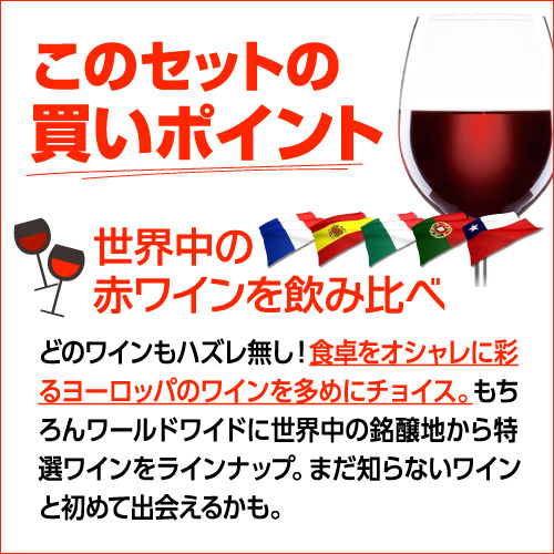 ワインセット 赤 12本セット フルボディ 辛口 送料無料 赤だけ 1本当り950円(税込) エブリデー赤ワイン12本セット 浜運Aの通販は