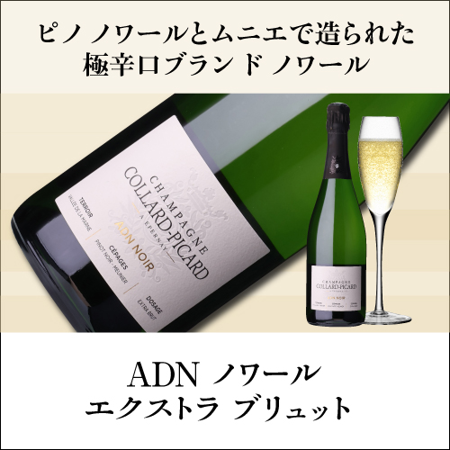 コラール ピカール ADN ノワール エクストラ ブリュット NV 750ml シャンパーニュ シャンパン 浜運A_6