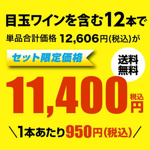 ワインセット 赤 12本セット フルボディ 辛口 送料無料 赤だけ 1本当り950円(税込) エブリデー赤ワイン12本セット 浜運Aの通販は