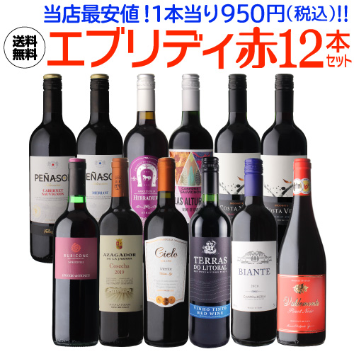 ワインセット 赤 12本セット フルボディ 辛口 送料無料 赤だけ 1本当り950円(税込) エブリデー赤ワイン12本セット 浜運Aの通販はワインセット