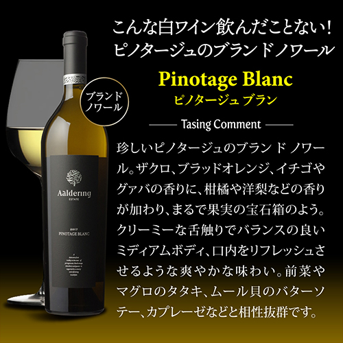 1本あたり3,(税込) 送料無料 アルダリン5本 750ml 5本入 10弾 赤 白 ワインセット 浜運 南アフリカ ステレンボッシュ