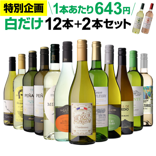 INDOMITA シャルドネ 12本セット 白10赤2 ポイント10%付与中】ソムリエ