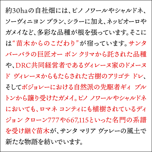 送料無料 サンフォード&ベネディクト ピノ ノワール [2021] or [2022]プレスキール 750ml アメリカ サンタ バーバラ 辛口 赤ワイン 浜運