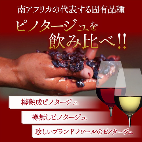1本あたり3,(税込) 送料無料 アルダリン5本 750ml 5本入 10弾 赤 白 ワインセット 浜運 南アフリカ ステレンボッシュ