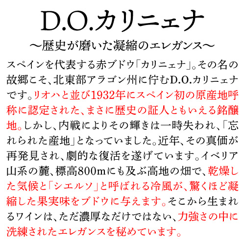 1本あたり3, 送料無料 アナヨン シャルドネ [2024] グランデズ ビノス 750ml 12本入 ケース スペイン 白ワイン 浜運A_4