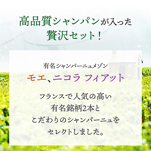 シャンパンセット モエ ＆ 二コラフィアット SAKURA 入 特選シャンパン3本セット 第16弾 シャンパーニュ 1本/5, 送料無料 浜運A