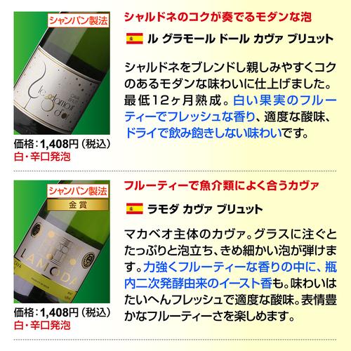 スパークリングワインセット 辛口 12本 +2本 計14本セット 送料無料 泡だけ 特選 129弾 浜運_8