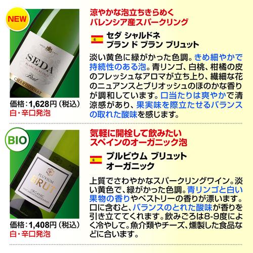 スパークリングワインセット 辛口 12本 +2本 計14本セット 送料無料 泡だけ 特選 129弾 浜運_11