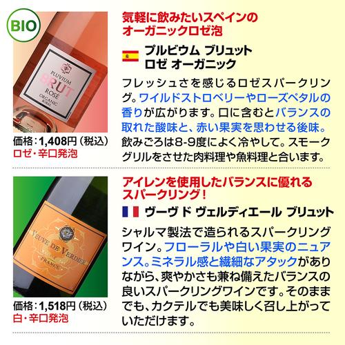 スパークリングワインセット 辛口 12本 +2本 計14本セット 送料無料 泡だけ 特選 129弾 浜運_12