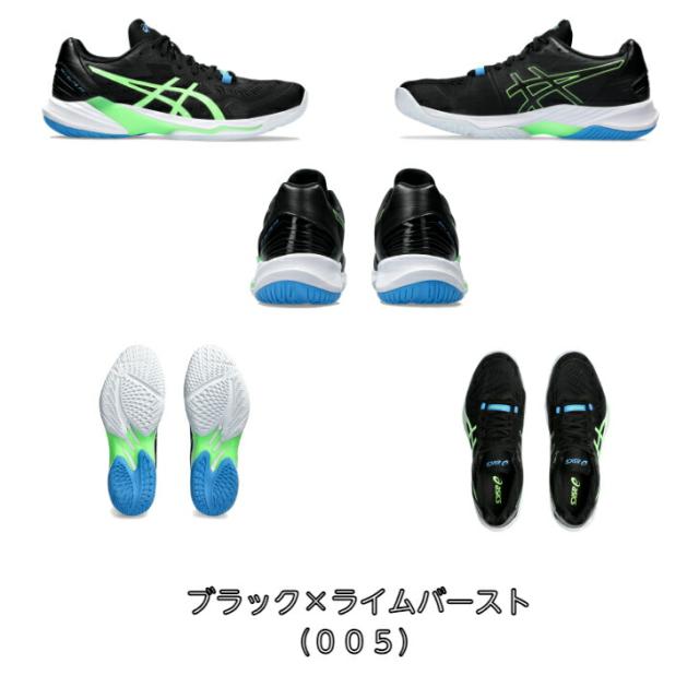 バレーボールシューズ ローカット SKY ELITE FF LO 2 フラッグシップ