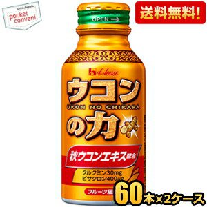【送料無料120本】ハウスウェルネス ウコンの力 ウコンエキスドリンク 100mlボトル缶 120本(60本×2ケース)