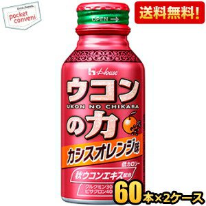 【送料無料120本】 ハウスウェルネス ウコンの力 ウコンエキスドリンク カシスオレンジ味 100mlボトル缶 120本(60本×2ケース)