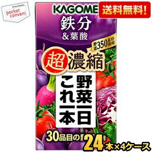 【送料無料】カゴメ 野菜一日これ一本超濃縮 鉄分＆葉酸 125ml紙パック 96本(24本×4ケース) 野菜ジュース