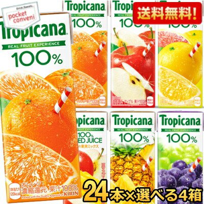 【送料無料】キリン トロピカーナ 無添加野菜 午後の紅茶 生茶 毎日果菜 200ml 250ml紙パック 96本セット(24本×選べる4ケース)