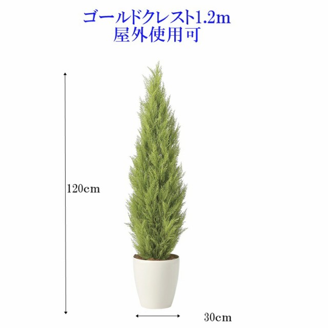 人工観葉植物　フェイクグリーン　ゴールドクレスト1.2ｍ　　送料無料