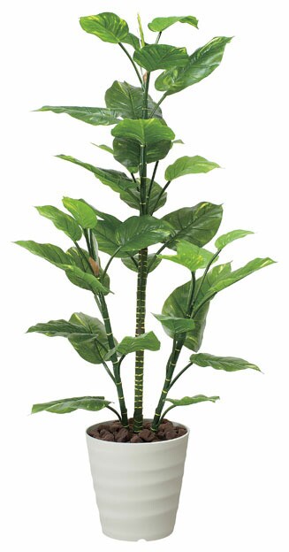 フェイクグリーン 観葉植物 フェイク 人工観葉植物 光触媒 造花 インテリア リアル おしゃれ お祝い 樹 木 室内 人気 空気清浄 玄関 リの通販は