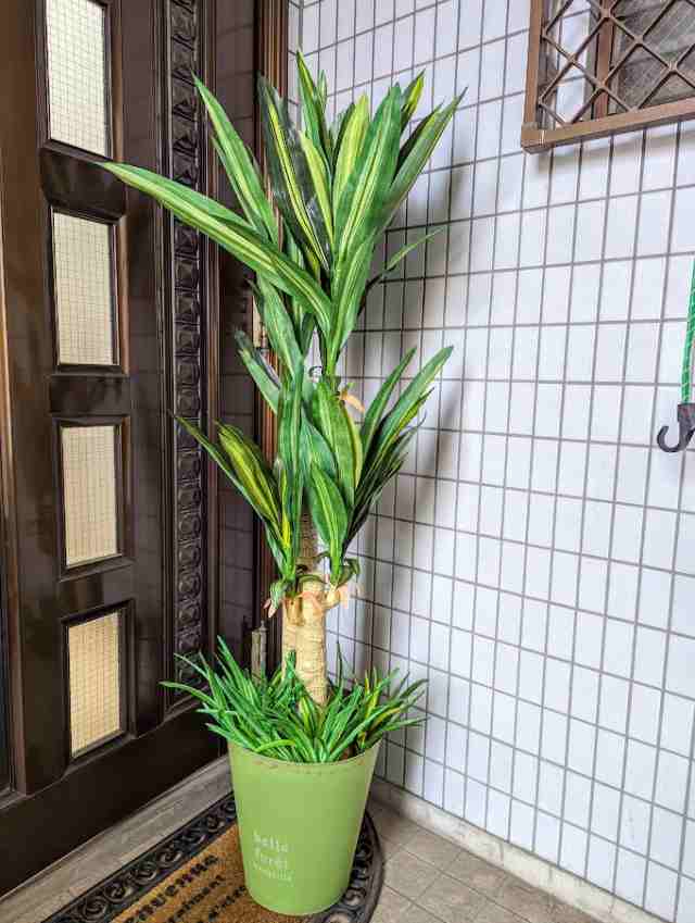 人工観葉植物　ドラセナ　幸福の木1.5ｍ　触媒加工　送料無料　お洒落な鉢カバー付き