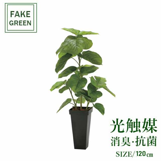 フェイクグリーン 観葉植物 フェイク 人工観葉植物 光触媒 造花 インテリア リアル おしゃれ お祝い 樹 木 室内 人気 空気清浄 玄関 リ