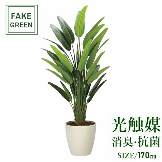 フェイクグリーン 観葉植物 フェイク 人工観葉植物 光触媒 造花 インテリア リアル おしゃれ お祝い 樹 木 室内 人気 空気清浄 玄関 リ