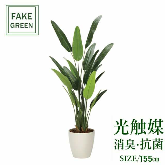 フェイクグリーン 観葉植物 フェイク 人工観葉植物 光触媒 造花 インテリア リアル おしゃれ お祝い 樹 木 室内 人気 空気清浄 玄関 リ