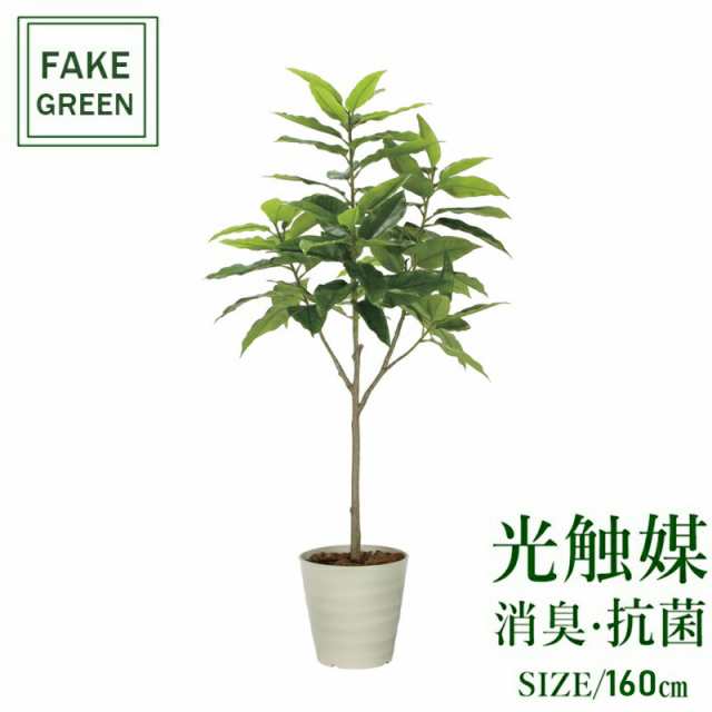 フェイクグリーン 観葉植物 フェイク 人工観葉植物 光触媒 造花 インテリア リアル おしゃれ お祝い 樹 木 室内 人気 空気清浄 玄関 リ