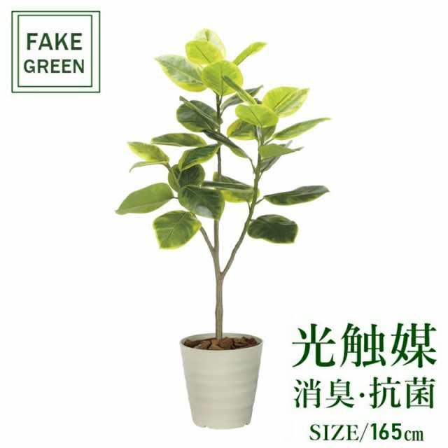 フェイクグリーン 観葉植物 フェイク 人工観葉植物 光触媒 造花 インテリア リアル おしゃれ お祝い 樹 木 室内 人気 空気清浄 玄関 リ