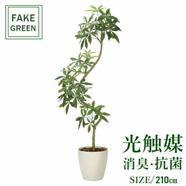 フェイクグリーン 観葉植物 フェイク 人工観葉植物 光触媒 造花 インテリア リアル おしゃれ お祝い 樹 木 室内 人気 空気清浄 玄関 リ