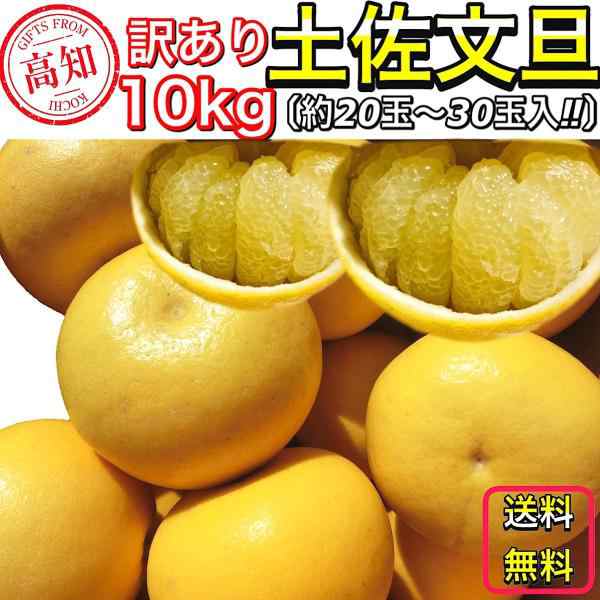 文旦 土佐文旦 10kg サイズお任せ (約20〜30玉）訳あり ご家庭用 高知