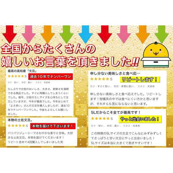 文旦 土佐文旦 10kg サイズお任せ (約20〜30玉）訳あり ご家庭用 高知